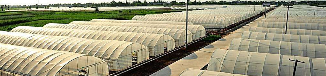 客戶(hù)點(diǎn)評(píng)