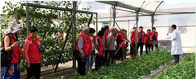 蔬菜種子，幾百萬(wàn)種植戶(hù)的選擇