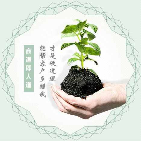 蔬菜種子經(jīng)營(yíng)，商道即人道