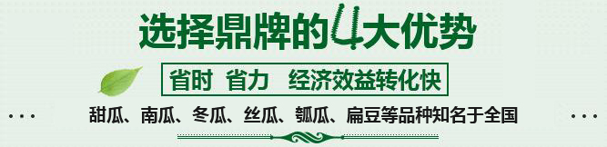 購(gòu)買(mǎi)蔬菜種子，選擇鼎牌的四大優(yōu)勢(shì)