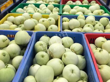 蔬菜種子種植戶客戶點(diǎn)評-5元1斤，這個新品種真香甜！