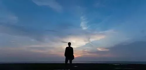 雇工難、成本高，想種甜瓜怎么辦？