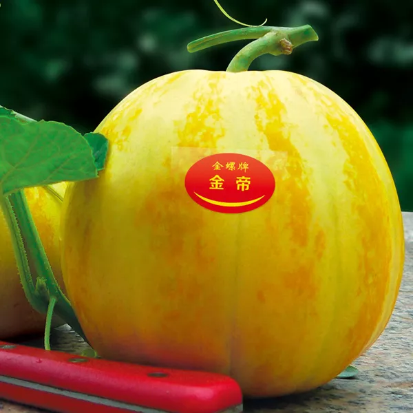 薄皮甜瓜，哪個品種最好呢？畝產高達10萬，附4種市場爆款品種