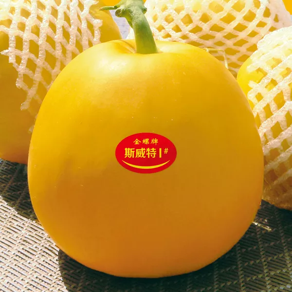 薄皮甜瓜，哪個品種最好呢？畝產高達10萬，附4種市場爆款品種