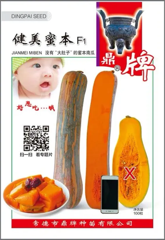 3元1斤的健美蜜本南瓜快成熟了，緬甸種植戶(hù)發(fā)來(lái)圖片與視頻