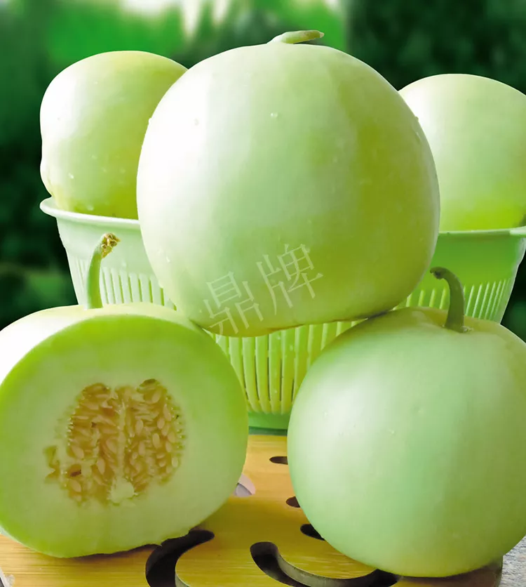 7元一斤還遭瘋搶，畝收益超2萬元！到底什么甜瓜能這么牛？