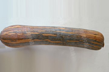 知道最甜最面的南瓜品種嗎？盤點(diǎn)十種有營(yíng)養(yǎng)的甜面南瓜...