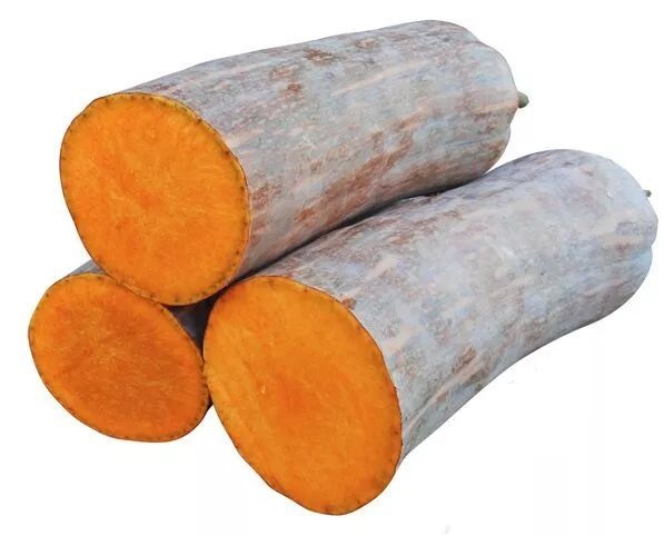 生吃都好吃南瓜新品種，沒有大肚子，肉質更密致，農戶試種下