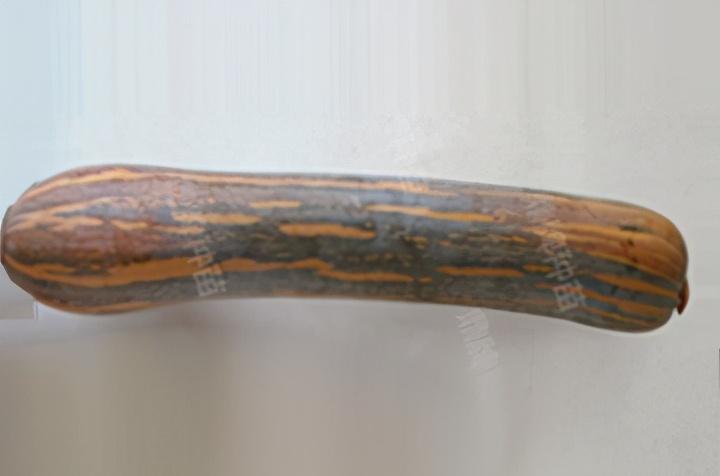 2020年，市面上的南瓜品種哪個(gè)口感最好、最甜、最值得種植？