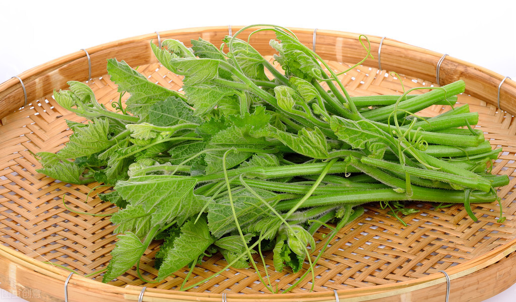 種這種綠葉菜，栽培輕松，畝產(chǎn)值過萬元，菜農(nóng)表示很劃算