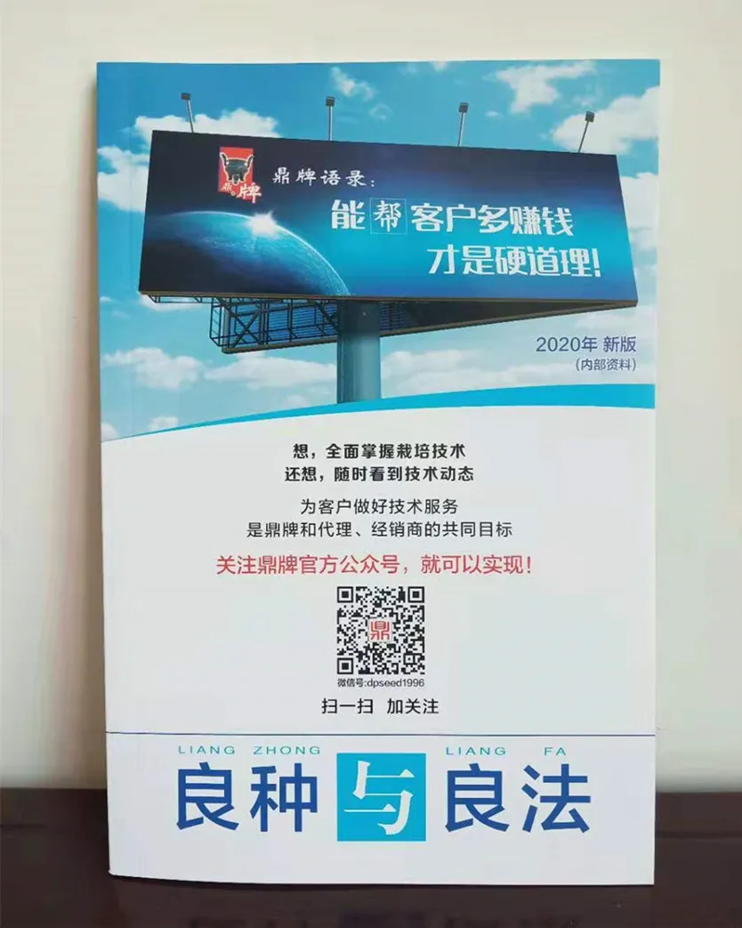 河南焦作的李向林今年種植甜瓜新品種，客戶直接拉貨走人