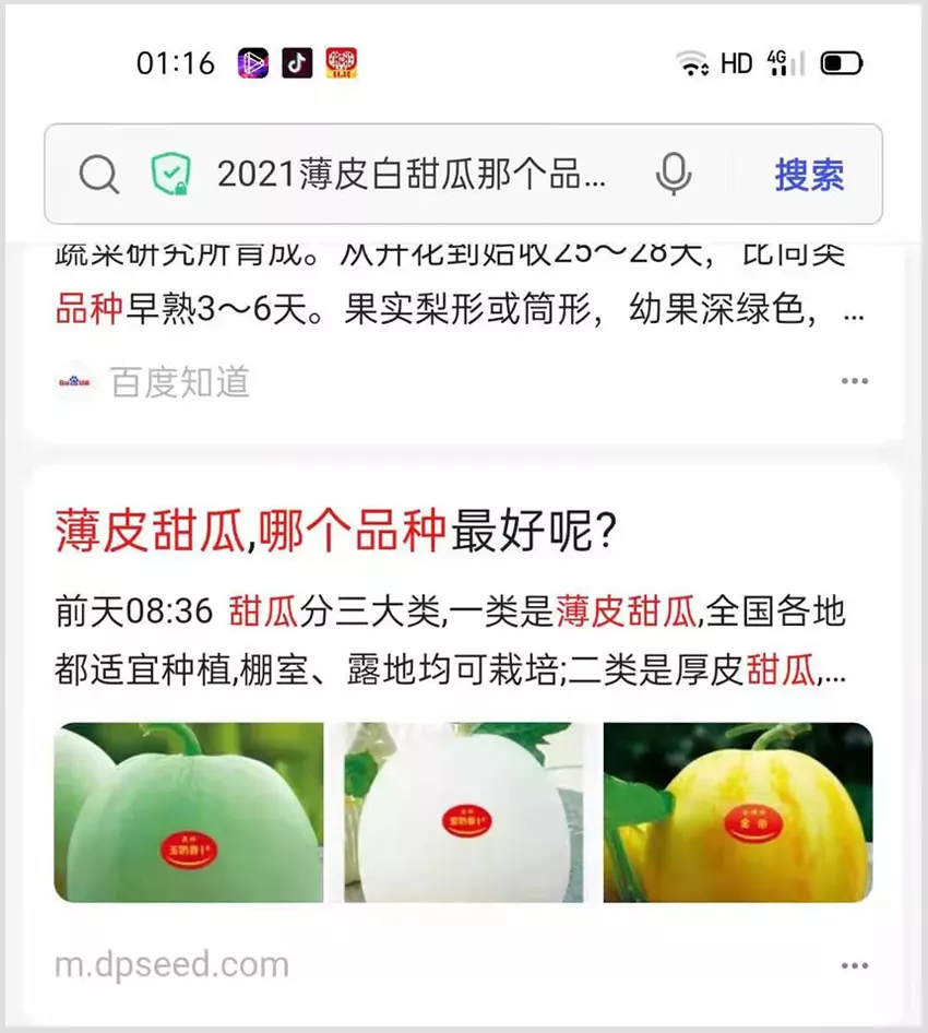 河南焦作的李向林今年種植甜瓜新品種，客戶直接拉貨走人