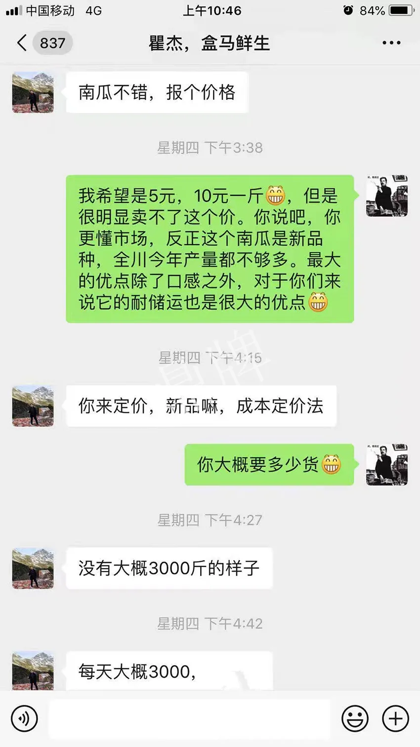 四川農(nóng)戶今年種“健美蜜本”南瓜產(chǎn)量高，品質(zhì)好，感覺巴適得很