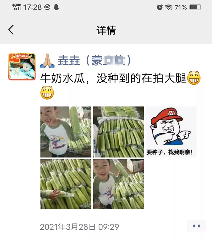 這個(gè)絲瓜每畝能掙3萬(wàn)，沒種植的農(nóng)戶后悔得拍大腿