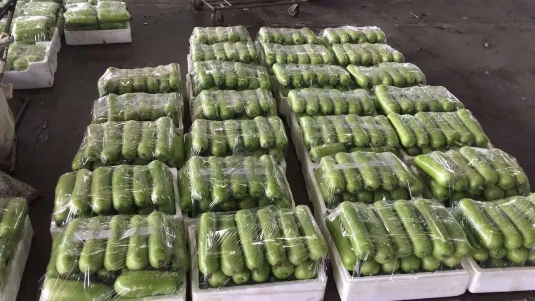 這個(gè)品種上市早，價(jià)格好！我連續(xù)種了三年，滿意