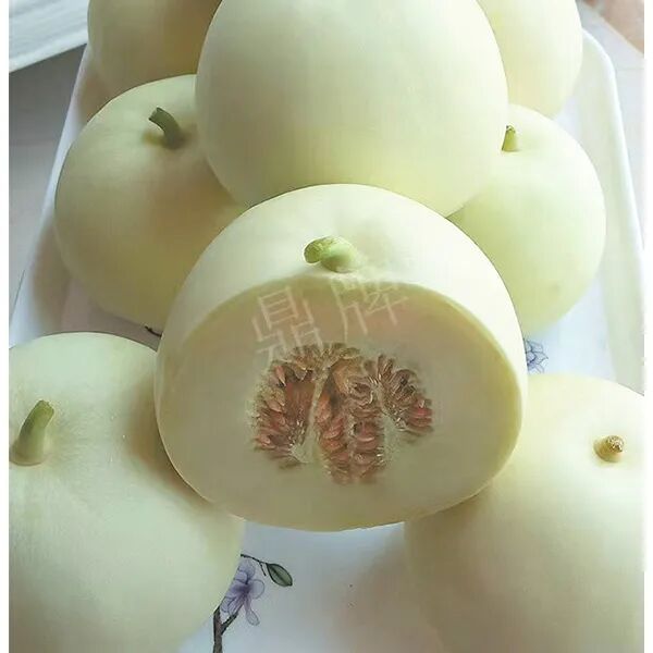 蔬菜種子種植戶(hù)種植心得-這個(gè)品種幫我留一些，4月份我們當(dāng)?shù)剡€要種一批