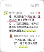 蔬菜種子種植戶(hù)客戶(hù)點(diǎn)評(píng)-“氣死白糖，甜過(guò)初戀”，您知道或體驗(yàn)過(guò)這句話嗎